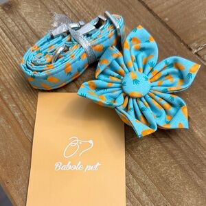 Easter Dog Collar with carrots